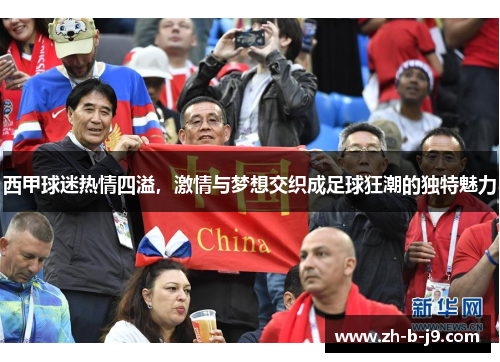 西甲球迷热情四溢，激情与梦想交织成足球狂潮的独特魅力