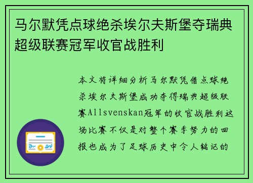 马尔默凭点球绝杀埃尔夫斯堡夺瑞典超级联赛冠军收官战胜利